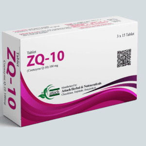 ZQ-10